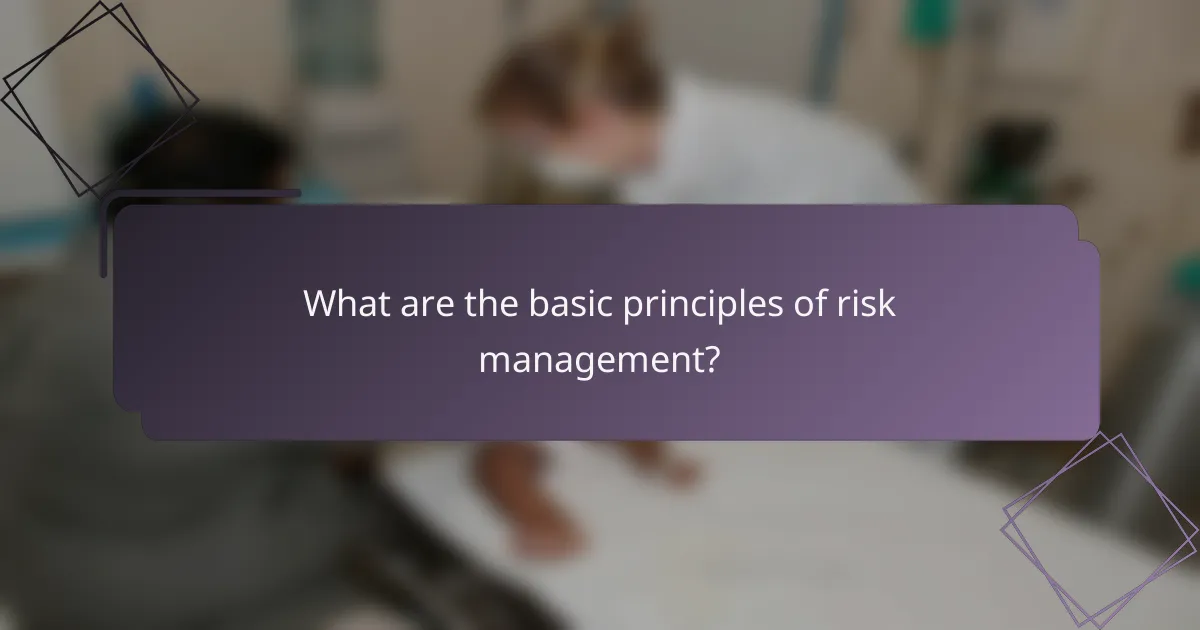 What are the basic principles of risk management?